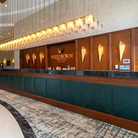 호텔 Wellborn Luxury 코자엘리