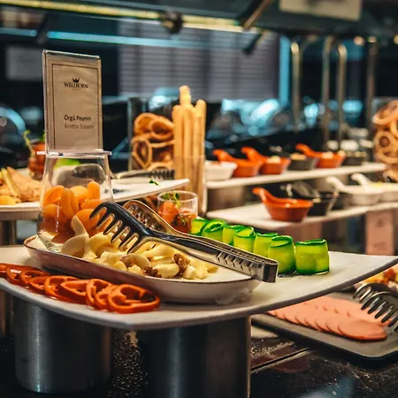 Hotel Wellborn Luxury Kocaeli