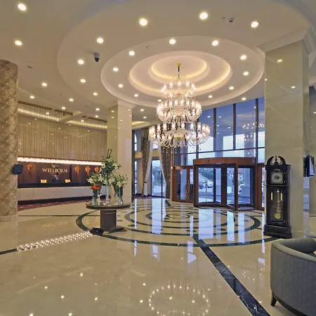 Otel Wellborn Luxury Kocaeli