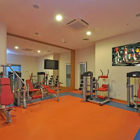 Wellborn Luxury 코자엘리