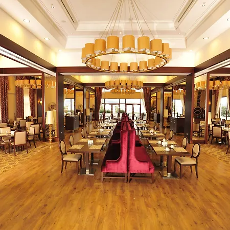 Wellborn Luxury 코자엘리